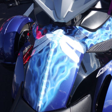 Too much glare, but that’s a dragonfly, I believe