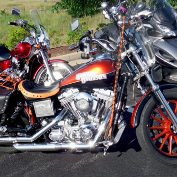 deep orange wheel