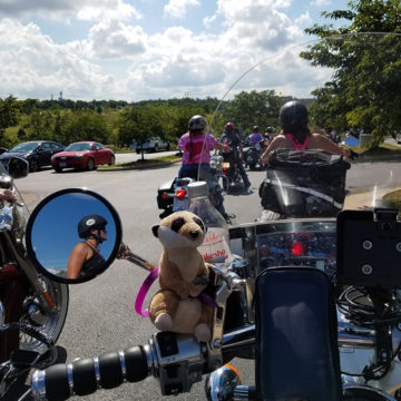 Parade_11_2017